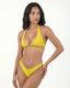 CHER REGGISENO CANARY
